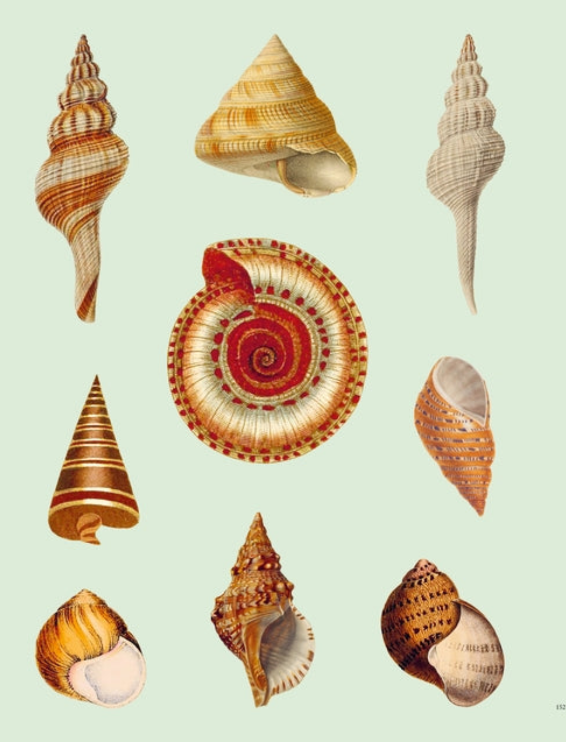 ספר מדבקות Extraordinary Things