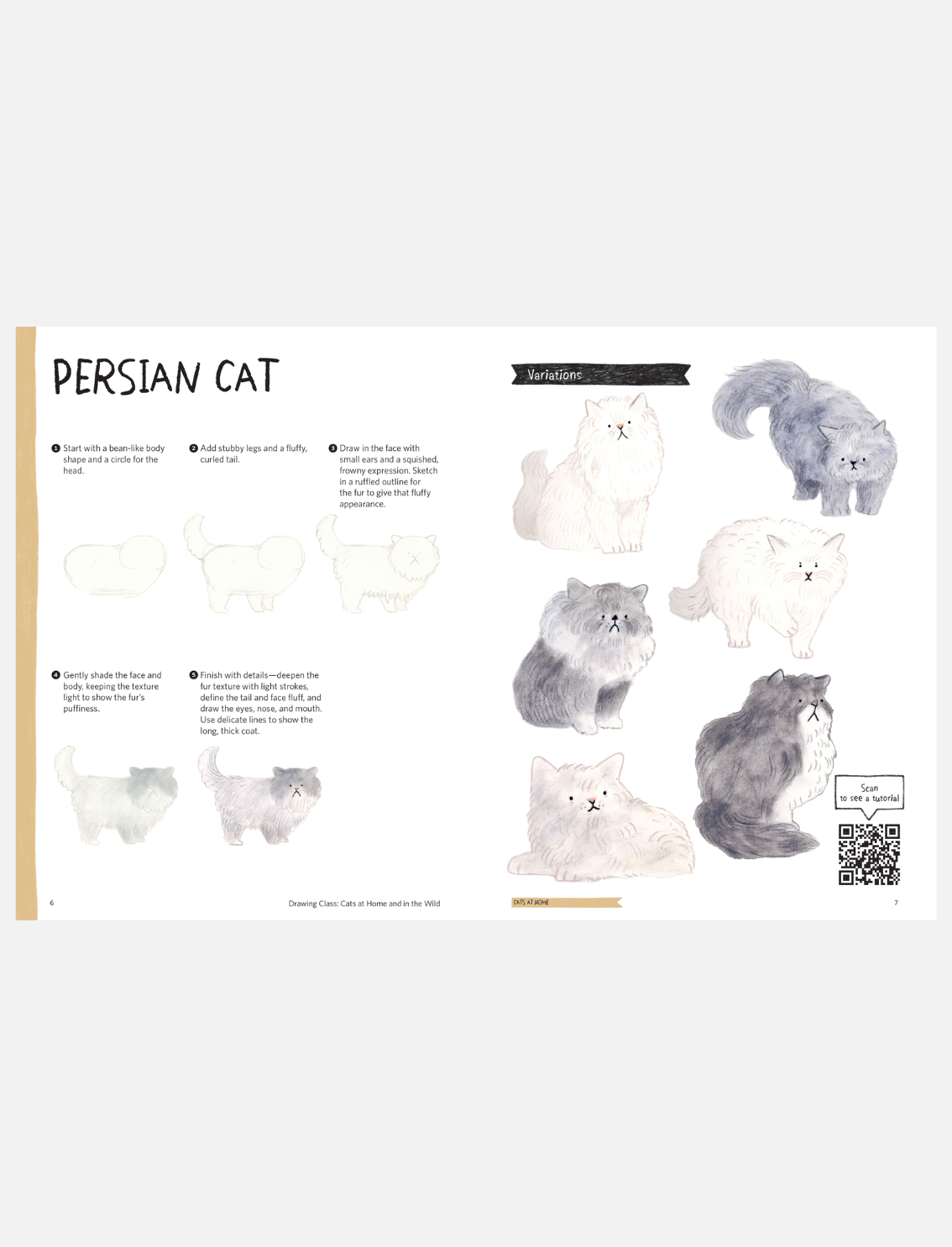 ספר יצירה: Cats Drawing Class