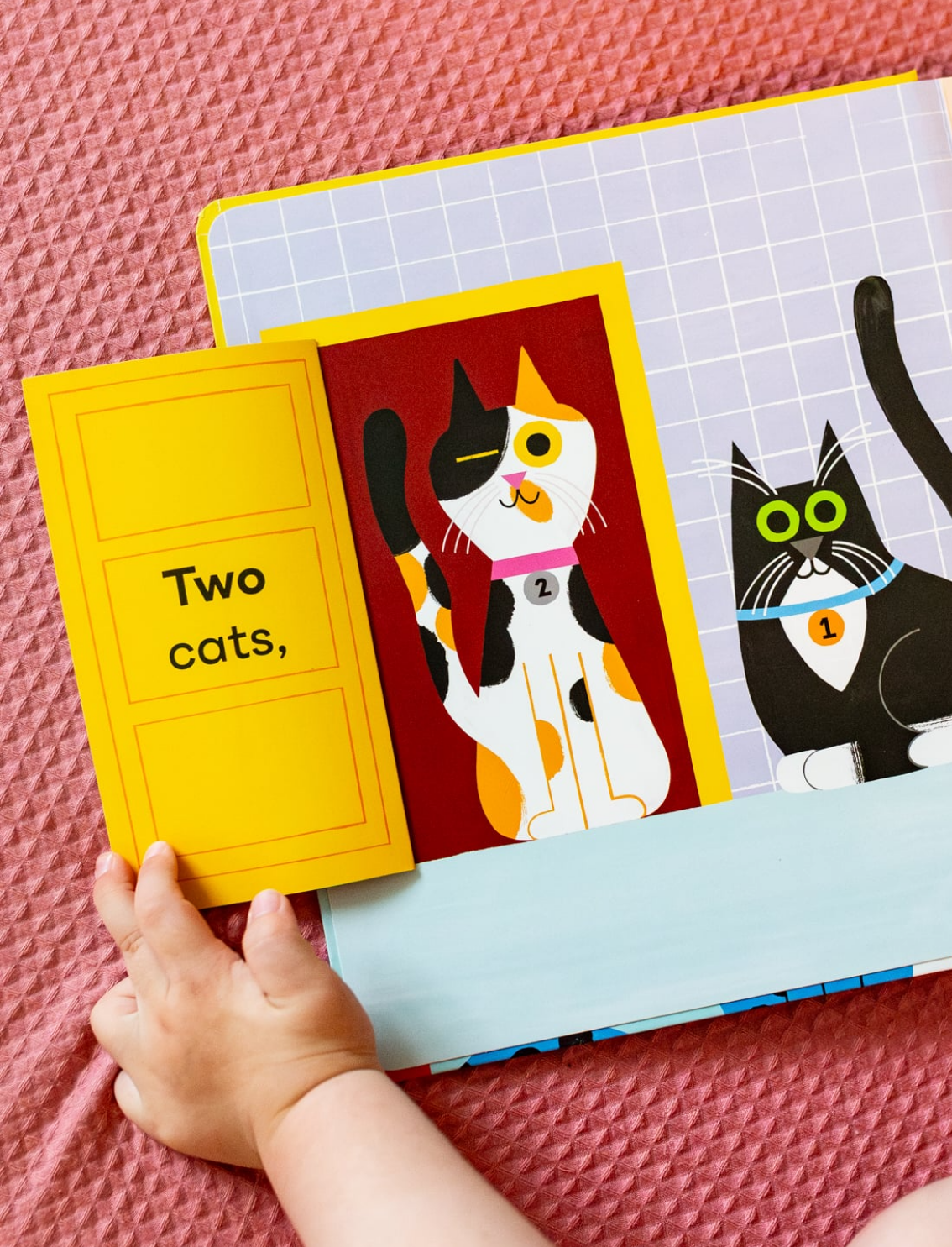 ספר אינטראקטיבי One Cat, Two Cats