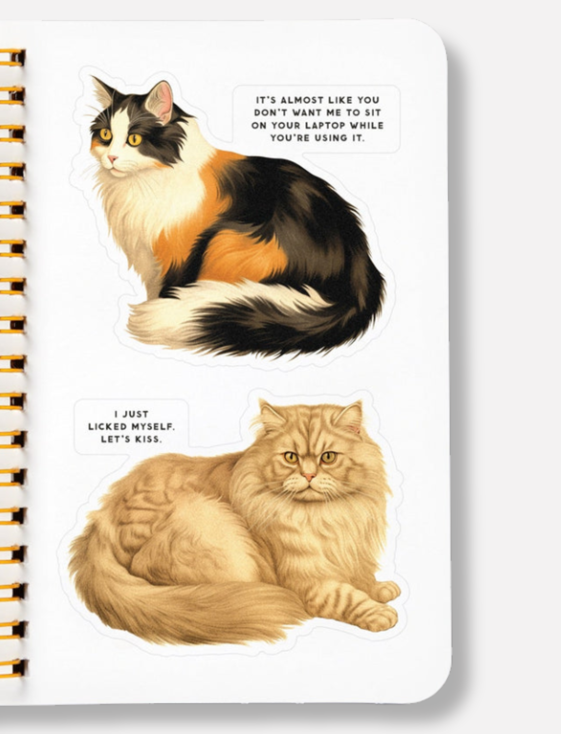 חוברת מדבקות Moody Cats