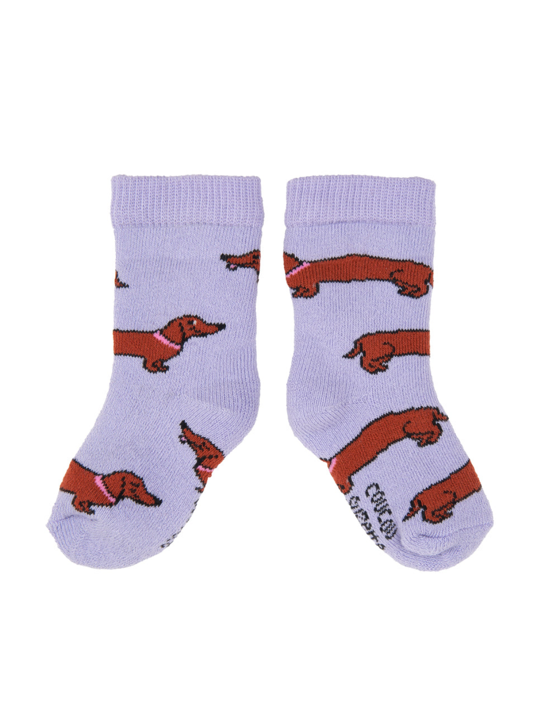 גרבי תינוקות Dachshund