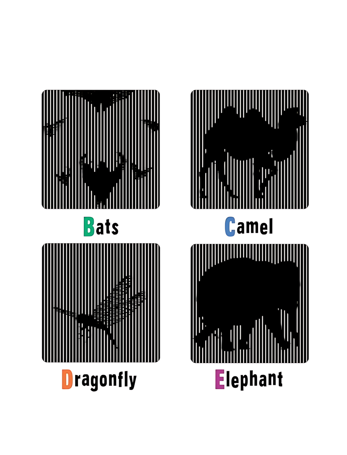 ספר סקנימציה לילדים ABC Animals!