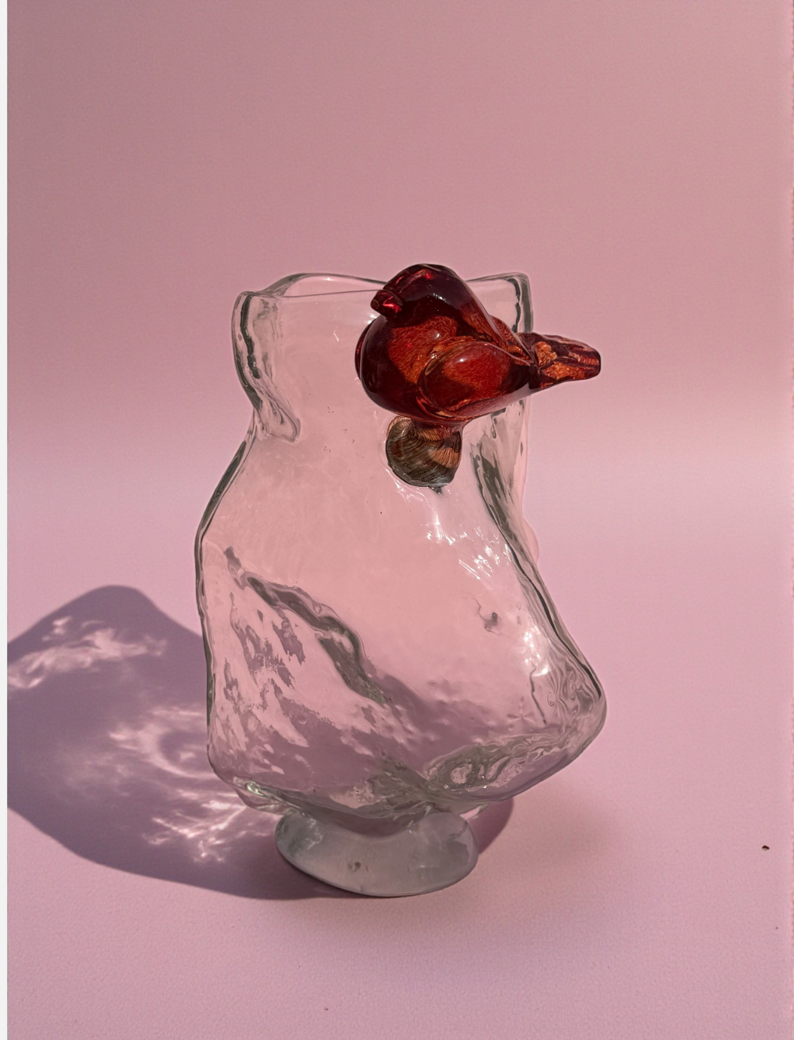 ואזת זכוכית Bird on a Rock