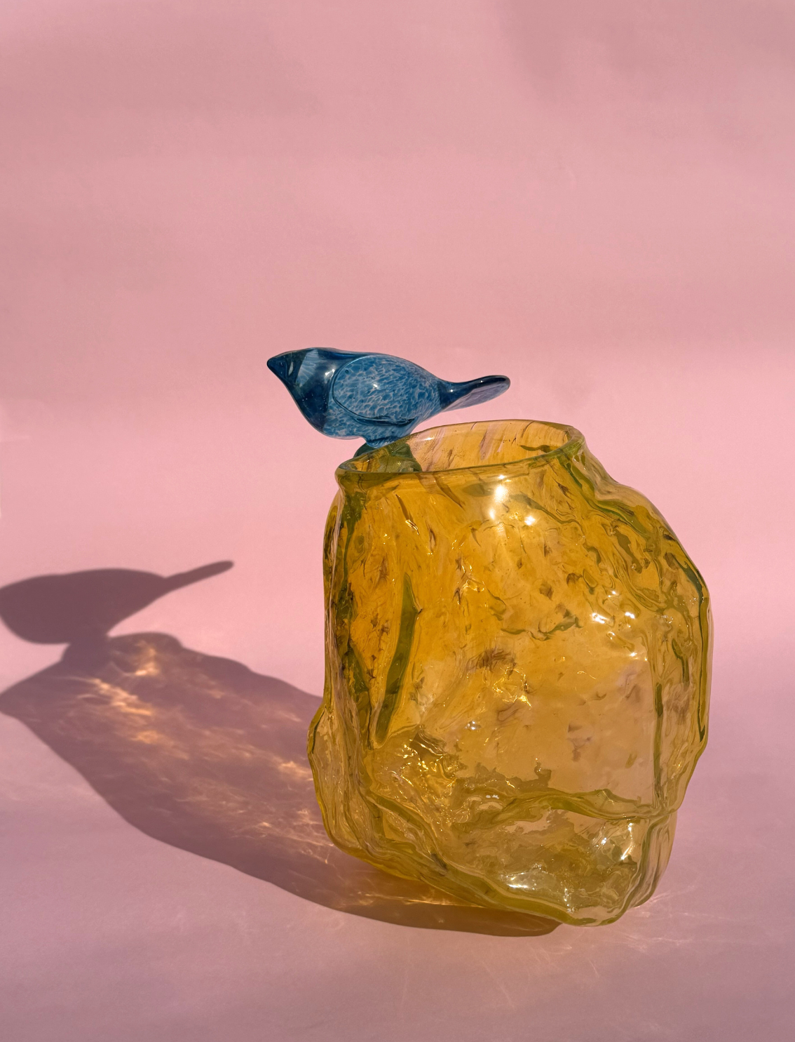 ואזת זכוכית Bird on a Yellow Rock