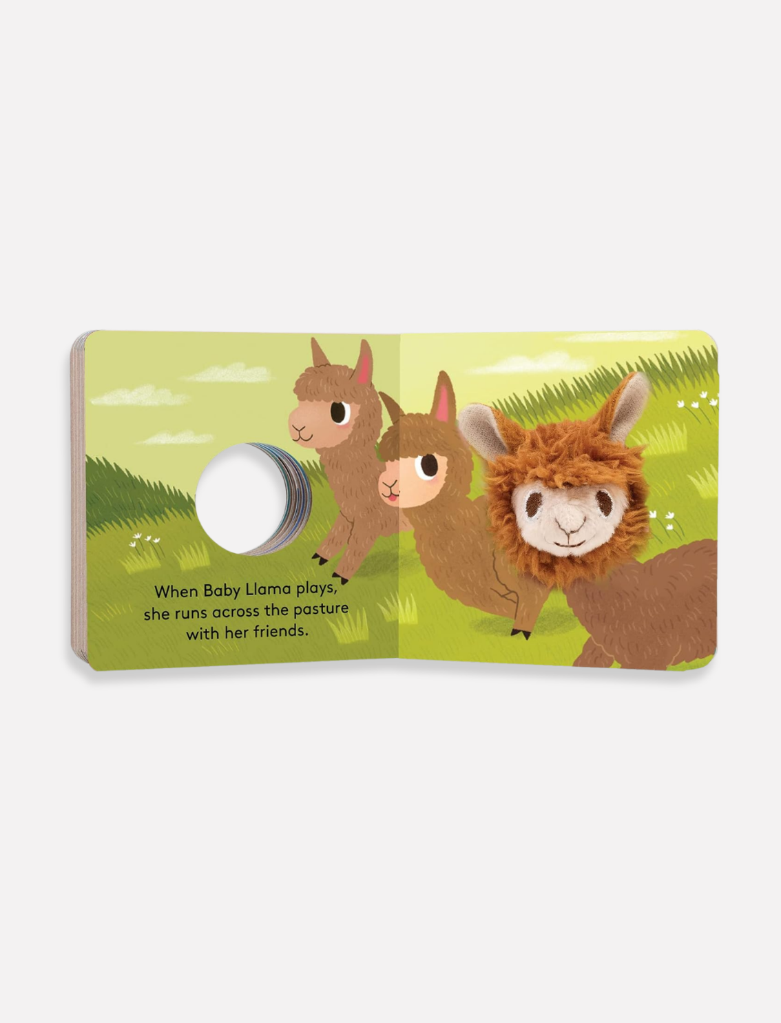 ספר בובת אצבע Baby Llama