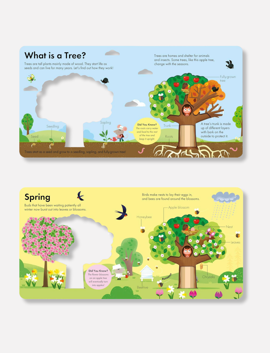 ספר הצצה How It Works: Tree