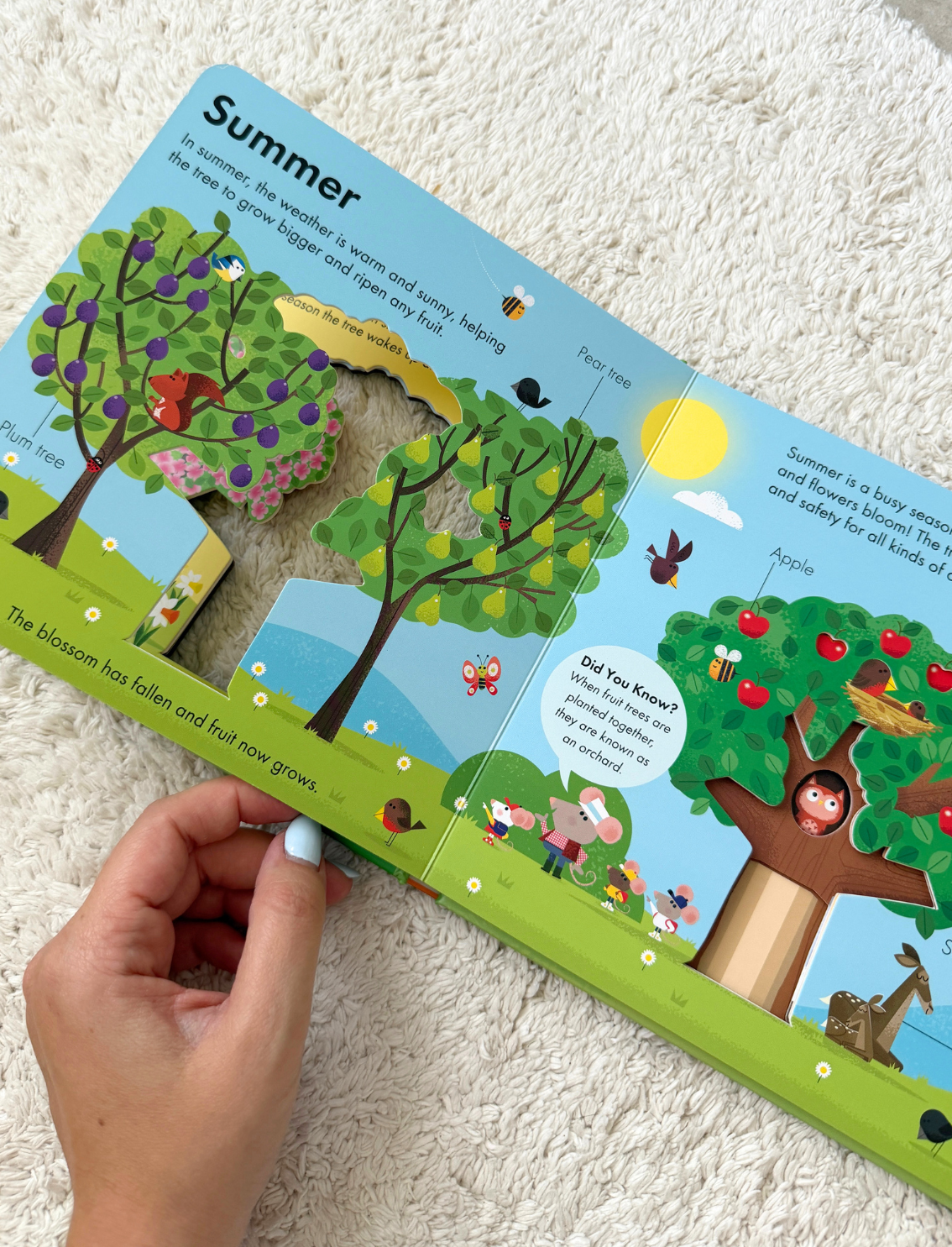 ספר הצצה How It Works: Tree