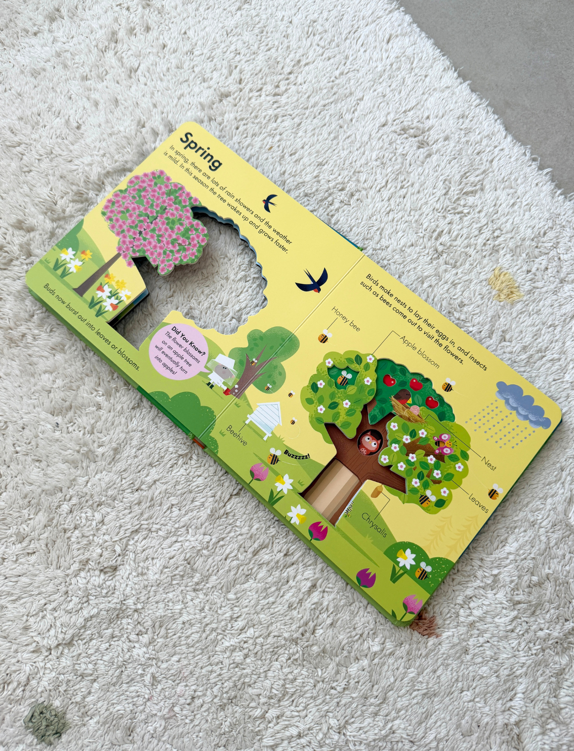 ספר הצצה How It Works: Tree