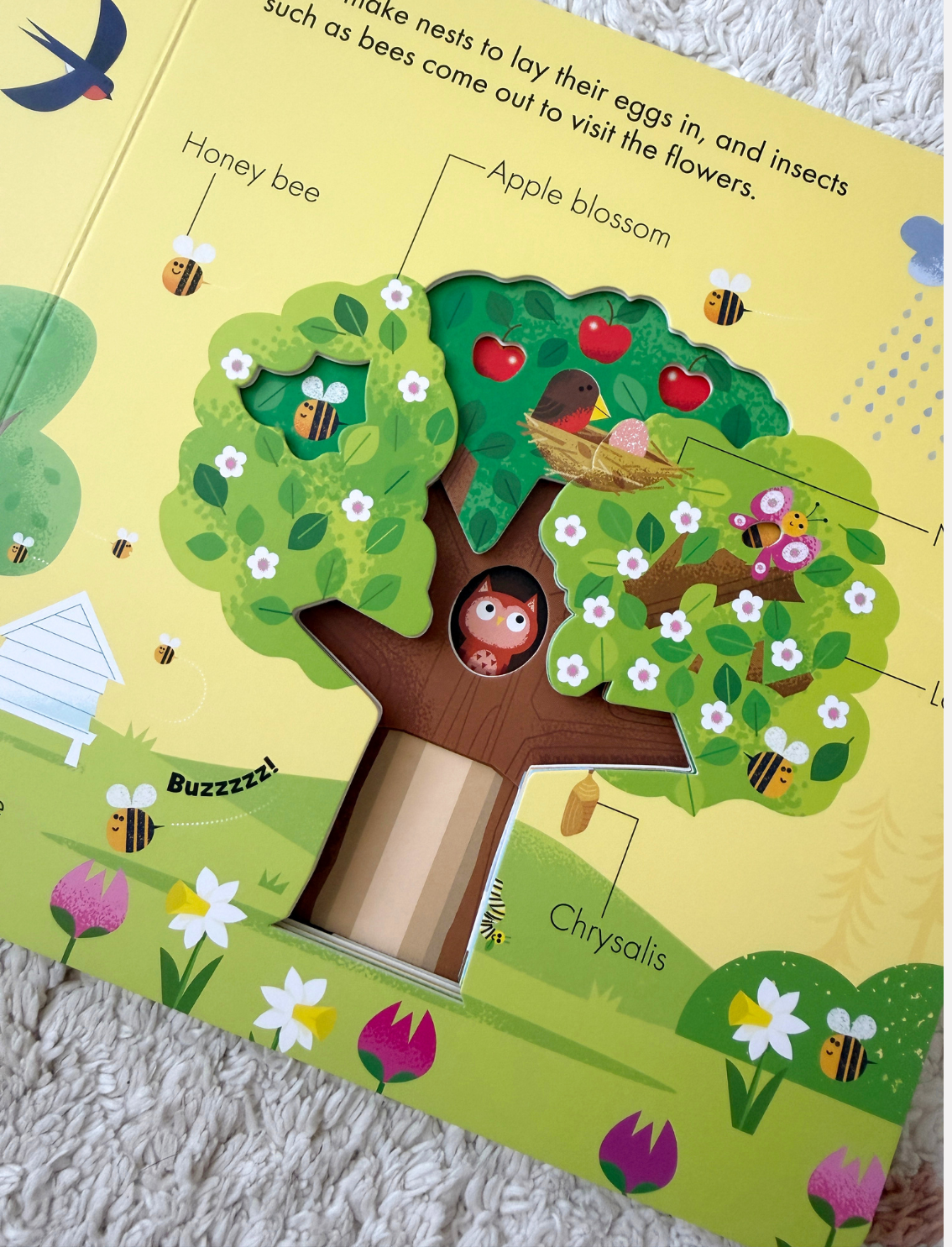 ספר הצצה How It Works: Tree