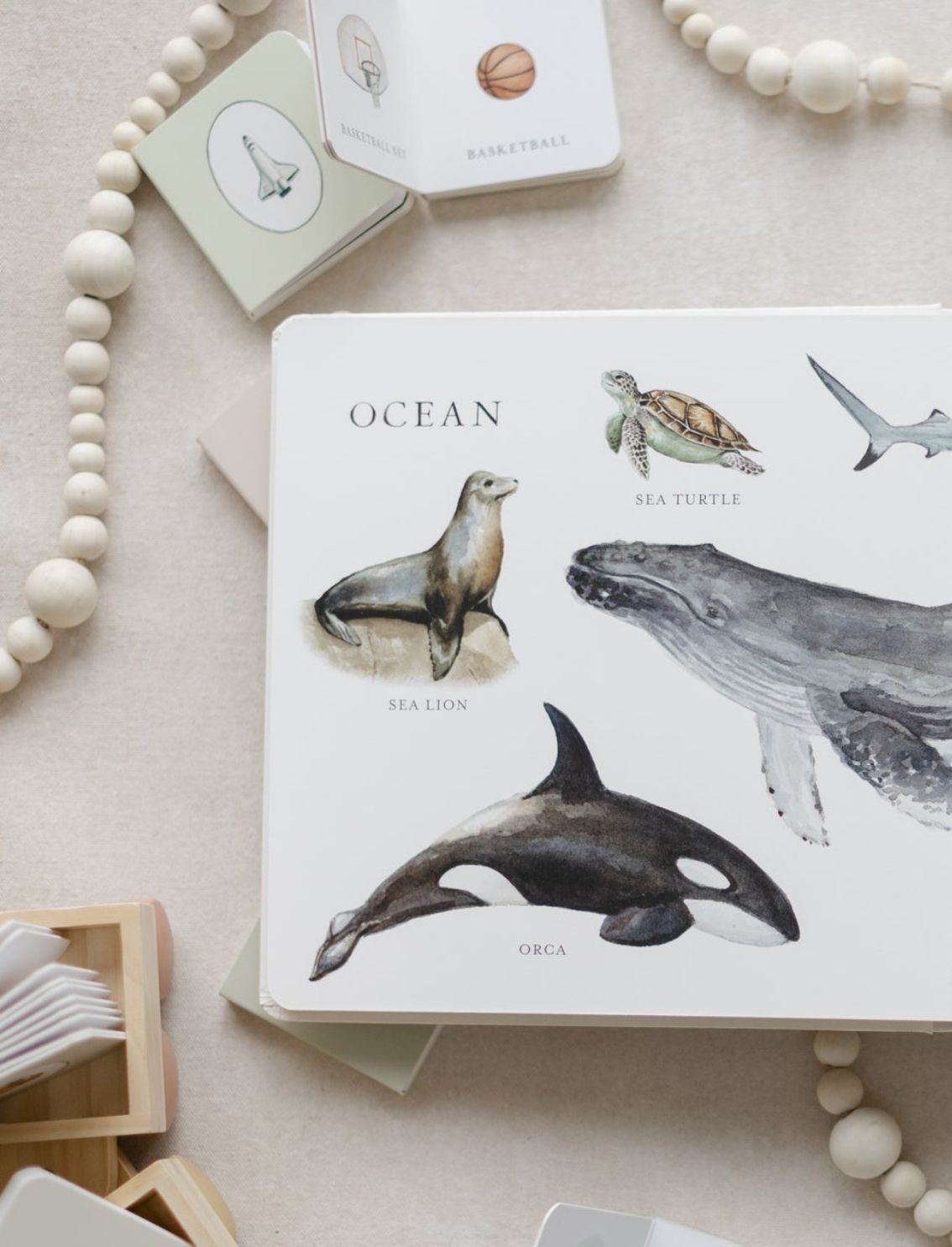 ספר קרטון Our Big Book Of Animals