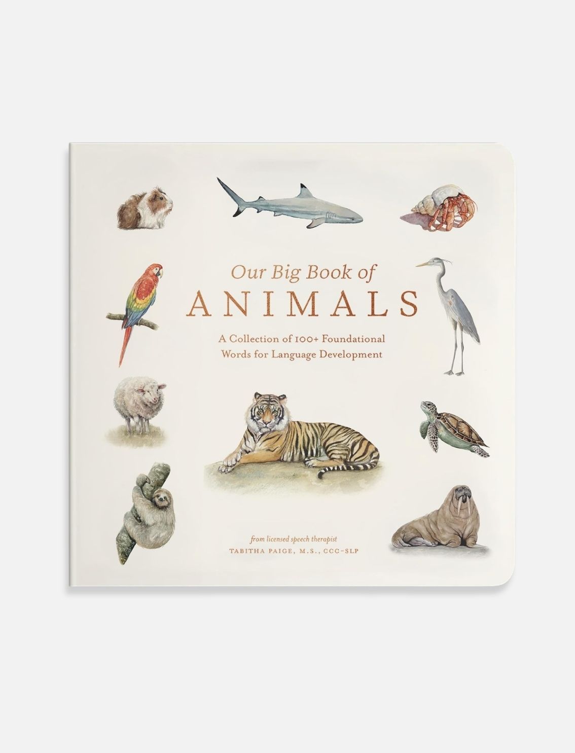 ספר קרטון Our Big Book Of Animals