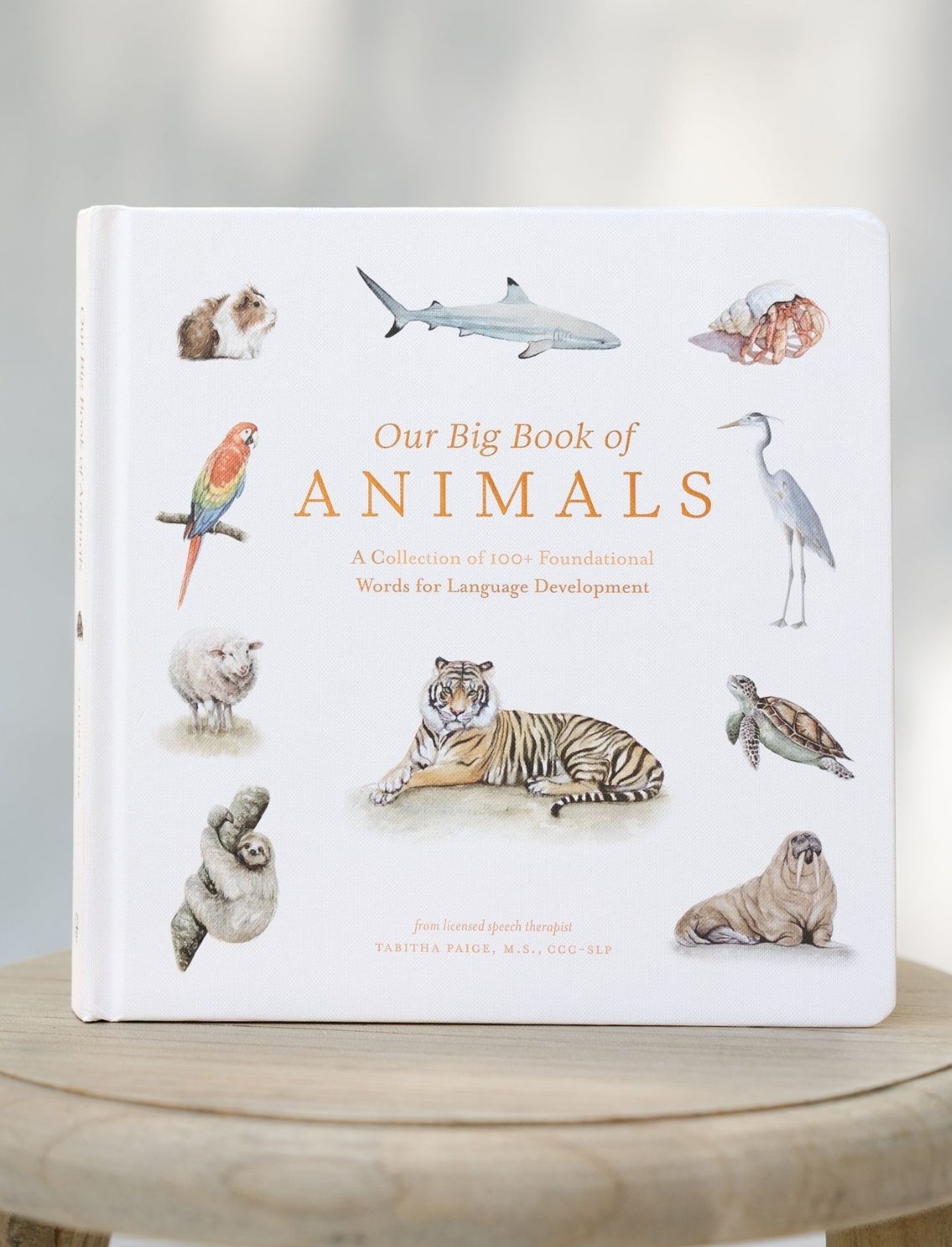 ספר קרטון Our Big Book Of Animals