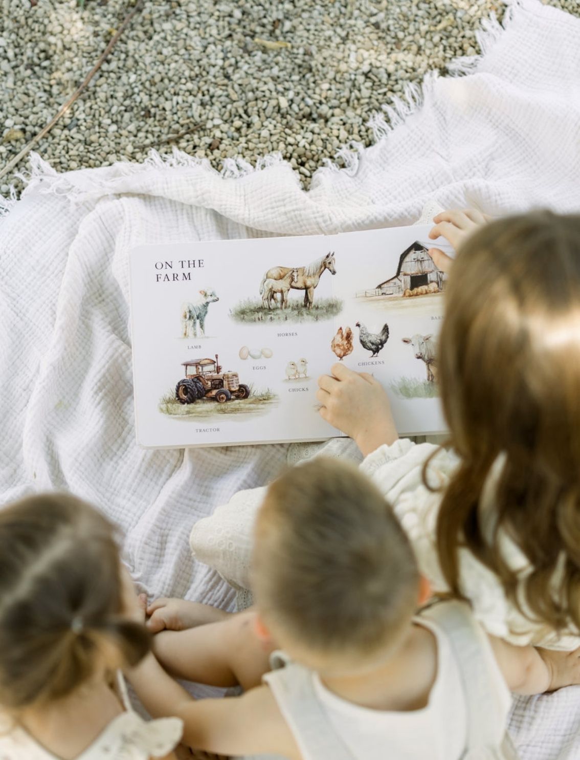 ספר קרטון Our Big Book Of Words