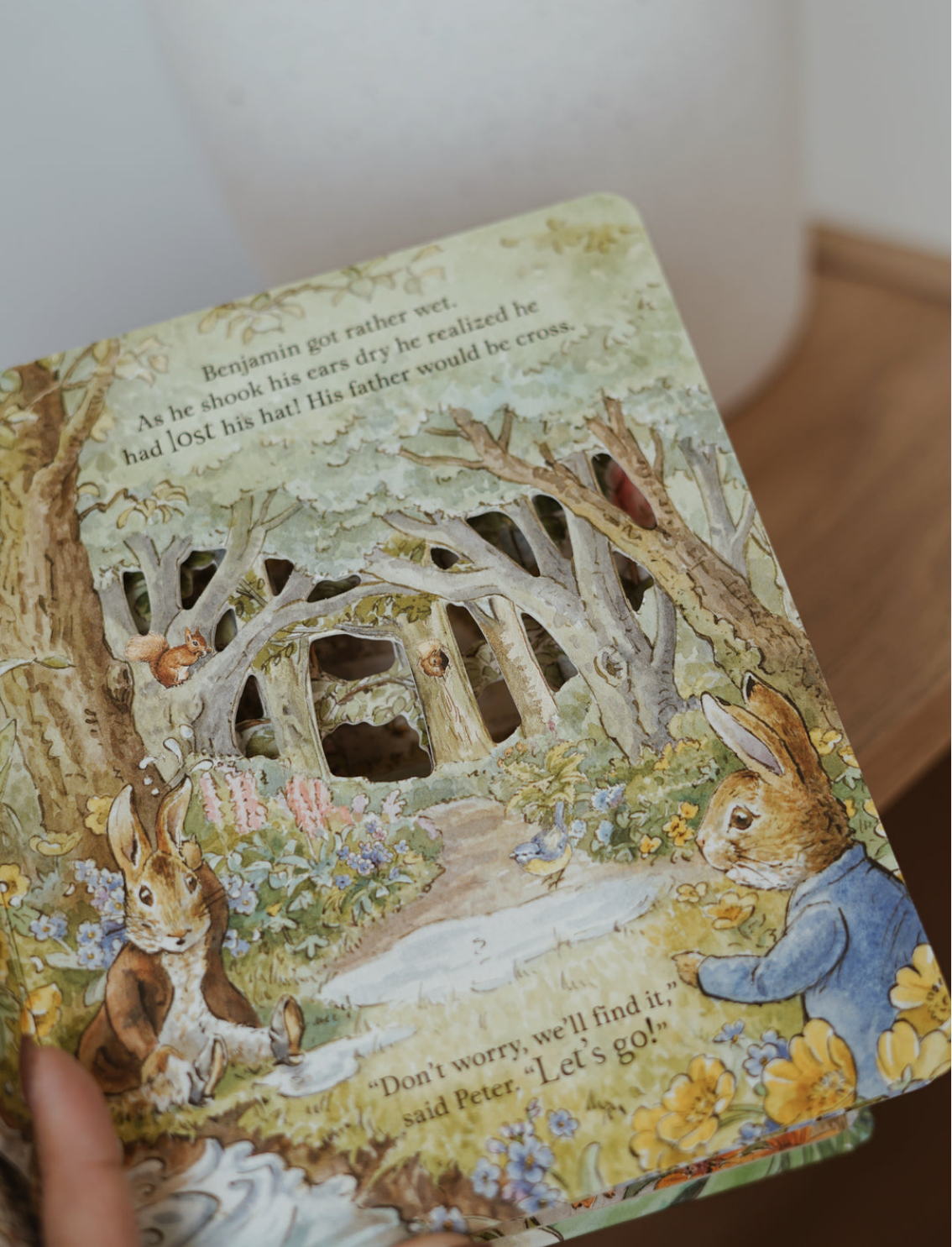 ספר הצצה Peter Rabbit