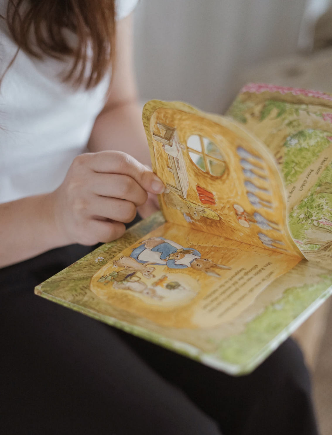 ספר הצצה Peter Rabbit