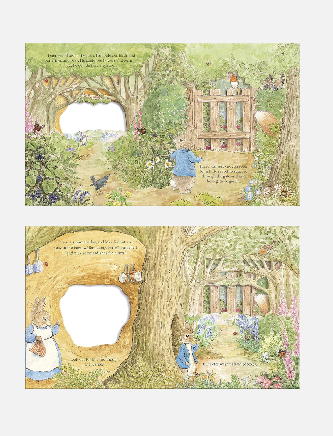 ספר הצצה Peter Rabbit