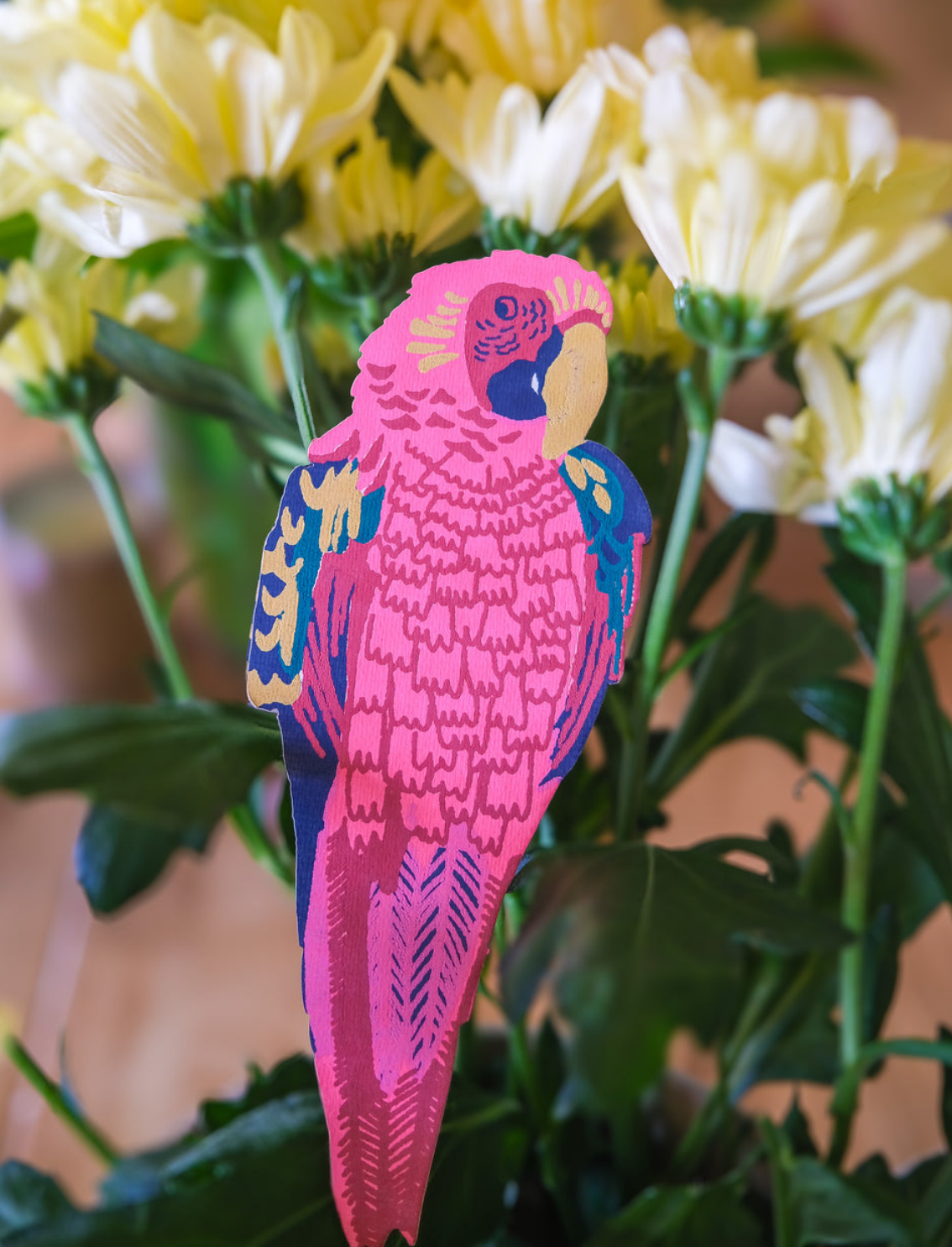 כרטיס ברכה Parrot