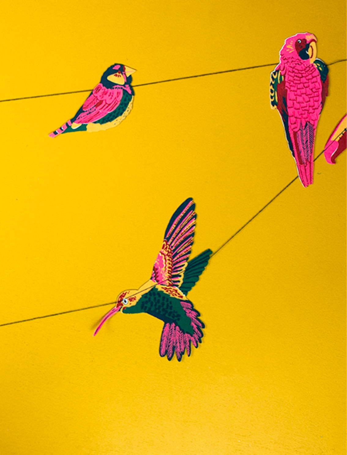 גרילנדת נייר תפורה Tropical Birds