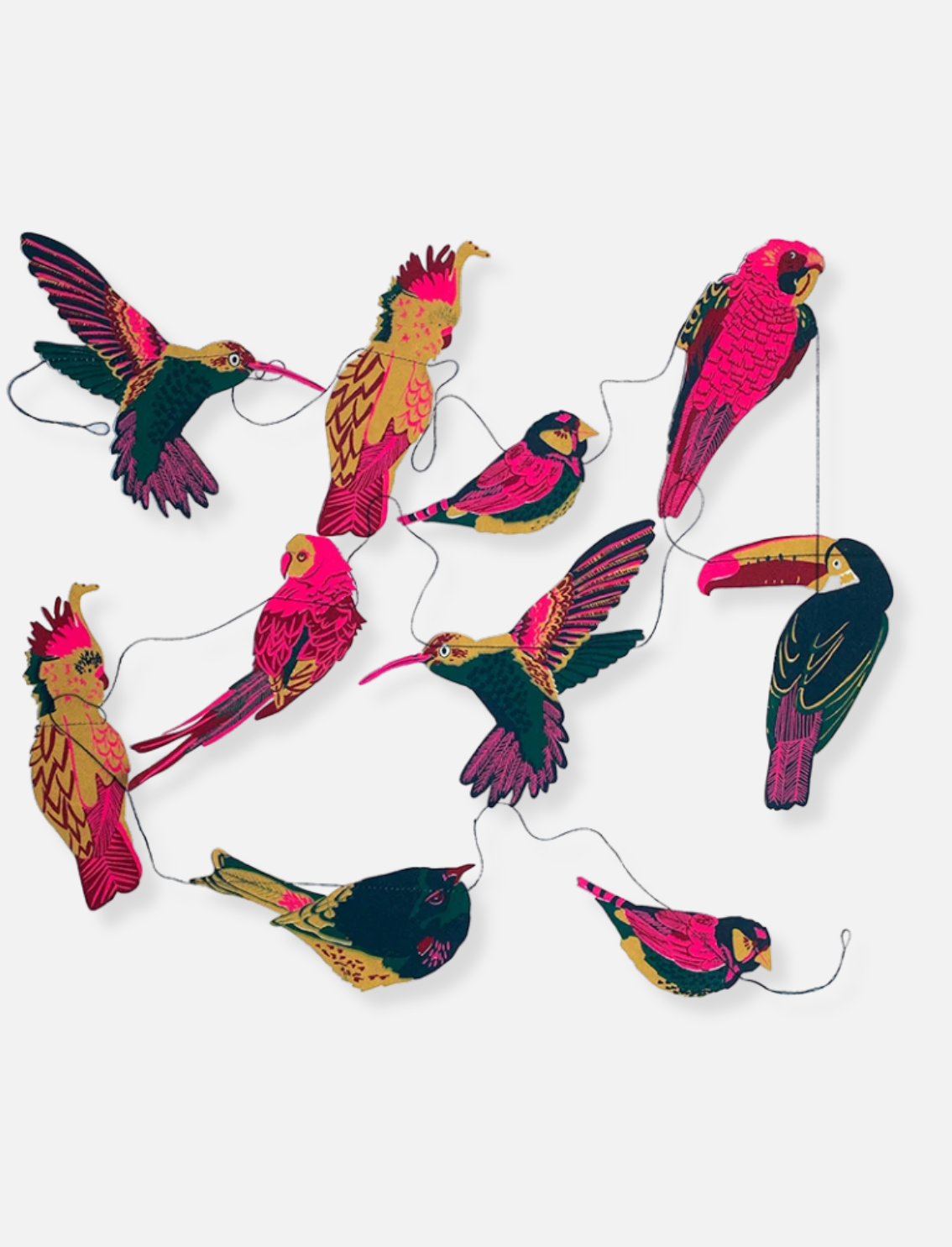 גרלינדת נייר Tropical Birds