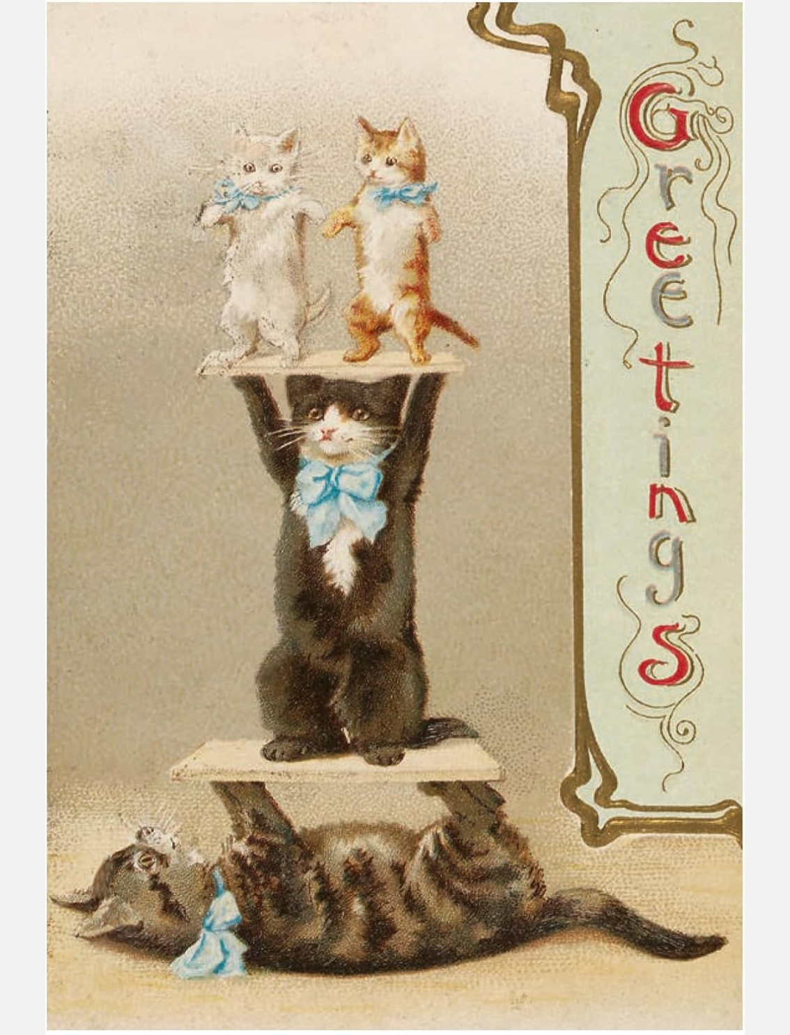 מארז 50 גלויות: Cats of the V&A