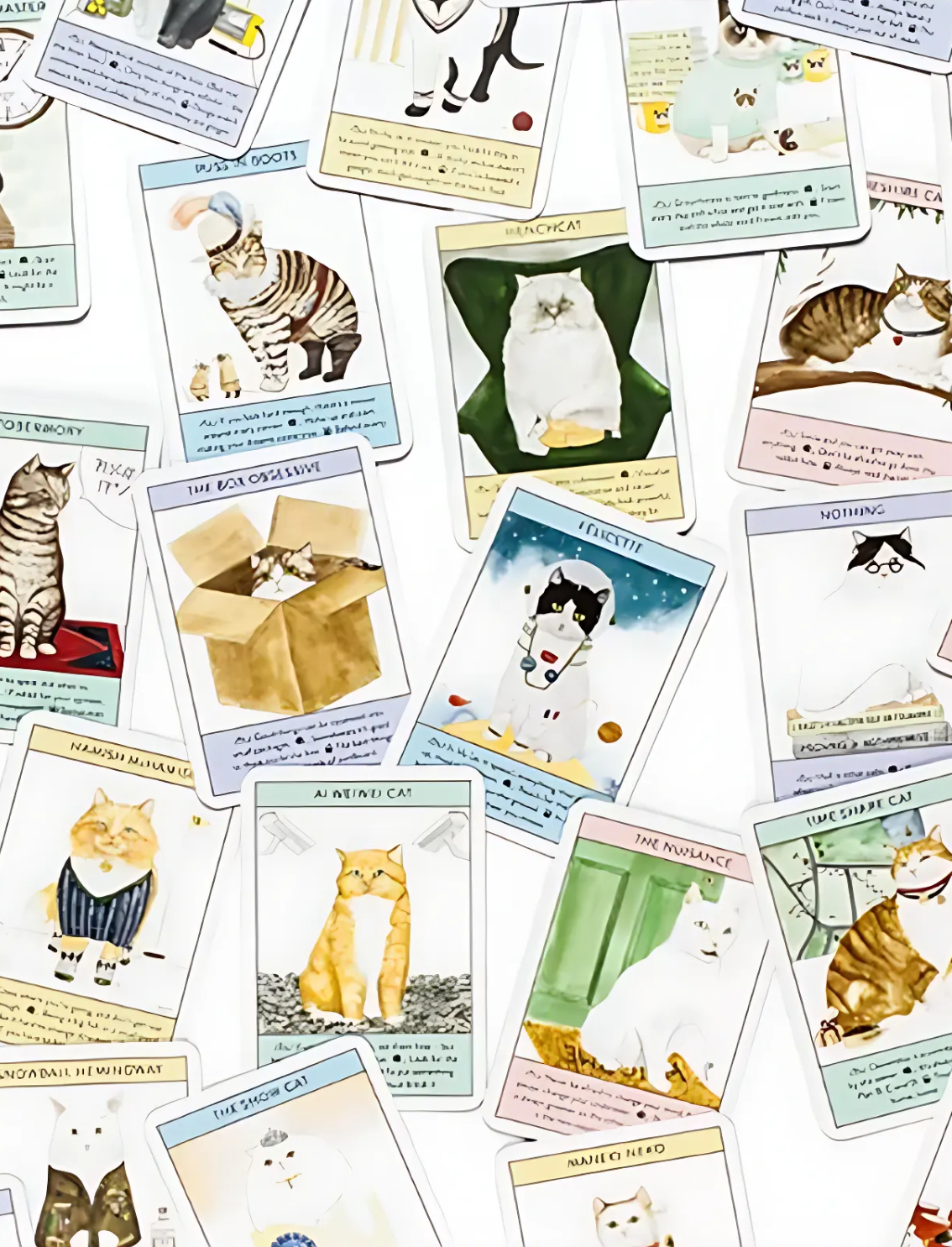 קלפי Cat Gurus: Wisdom from the World's Most Celebrated Felines