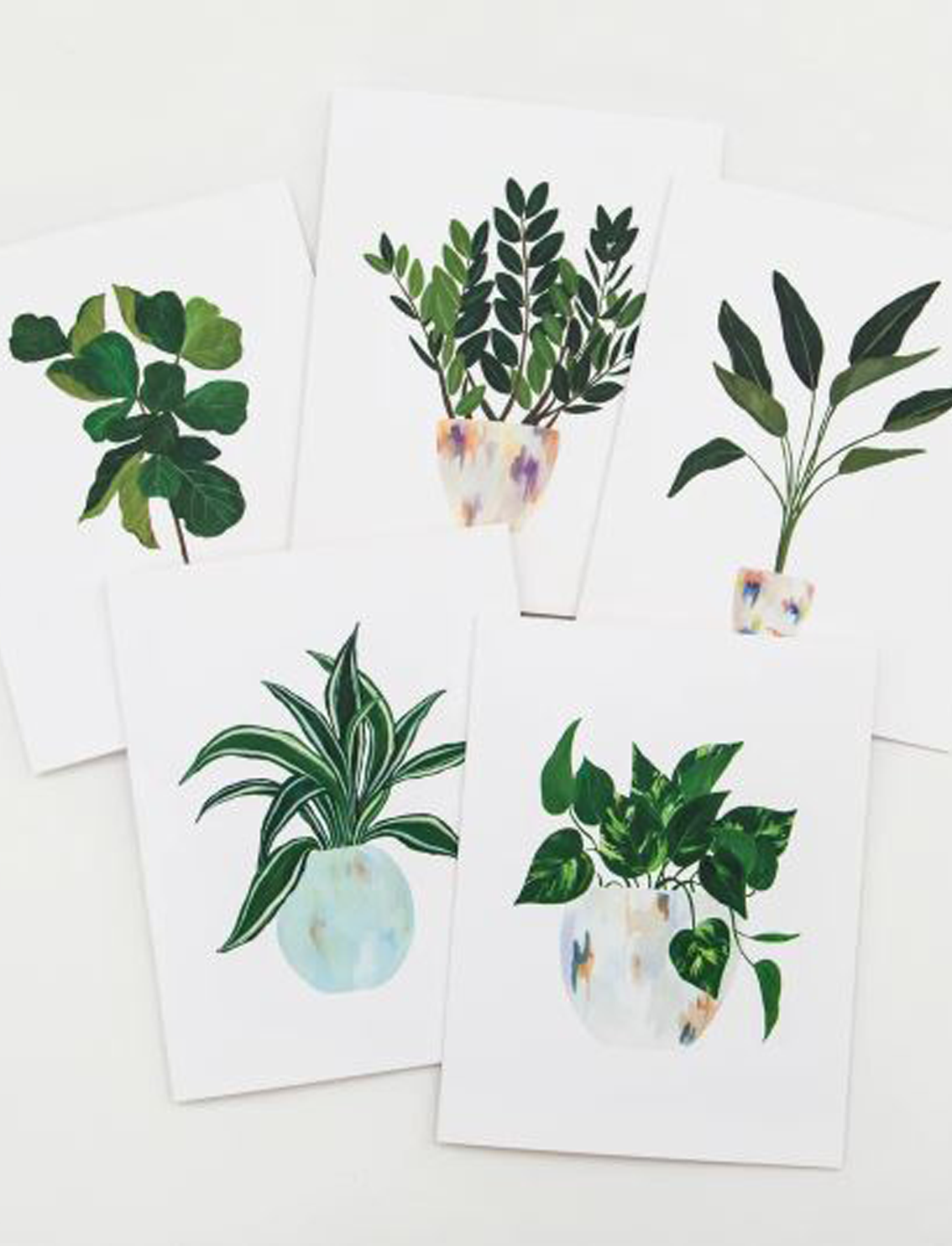סט 5 גלויות ומעטפות HOUSE PLANTS