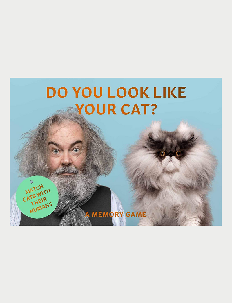 משחק זיכרון Do You Look Like Your Cat?